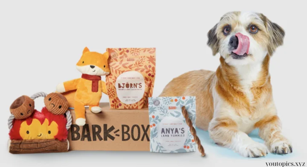 Unique birthday gifts for pet lovers